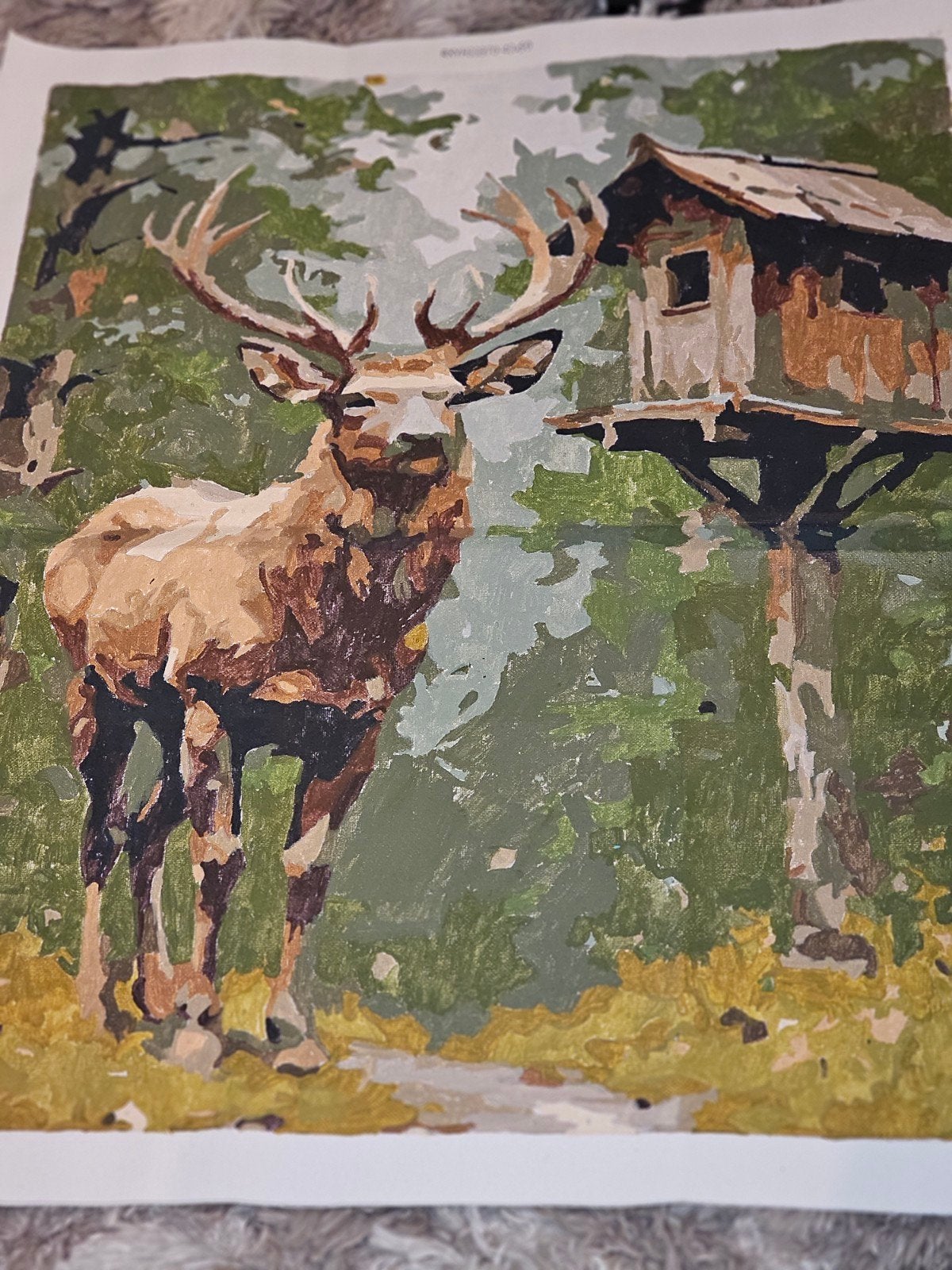 Dieren, Ophalen of Verzenden, Natuur en Biologie