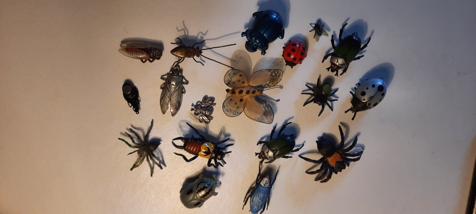 Koelkast magneet insecten., Ophalen of Verzenden