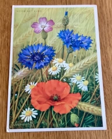 Bloemen OUDE SET, Verzamelen, Verzenden, Voor 1920, Ongelopen