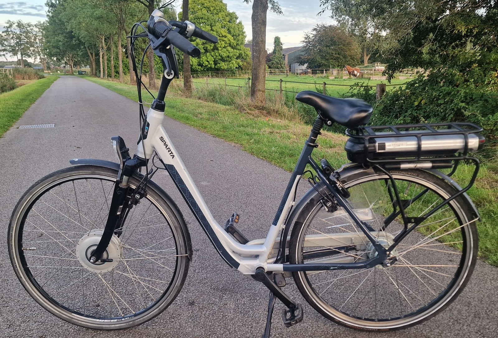 Partij van 4 Elektrische fietsen, Zo goed als nieuw, 50 km per accu of meer, 55 tot 59 cm, Ophalen