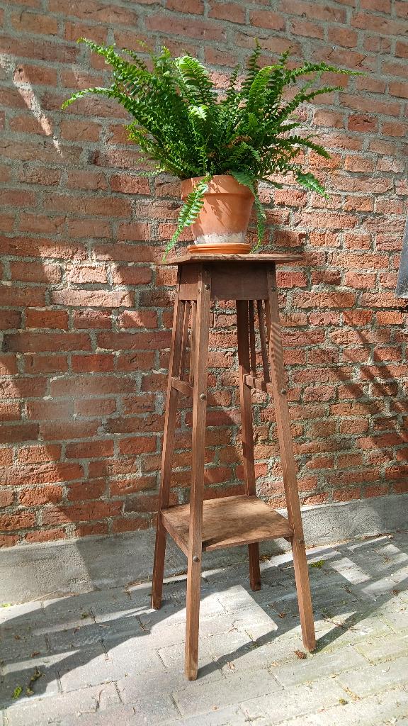 Vintage plantentafel, Ophalen, Minder dan 55 cm, Gebruikt, Vierkant