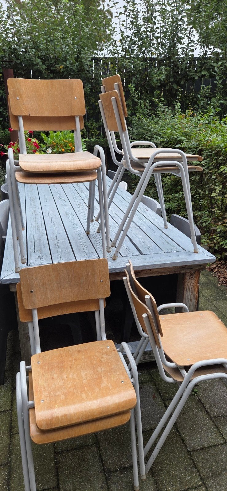 8 school/kantine stoelen - stevig en stapelbaar, Ophalen, Gebruikt, Overige kleuren, Vijf, Zes of meer stoelen