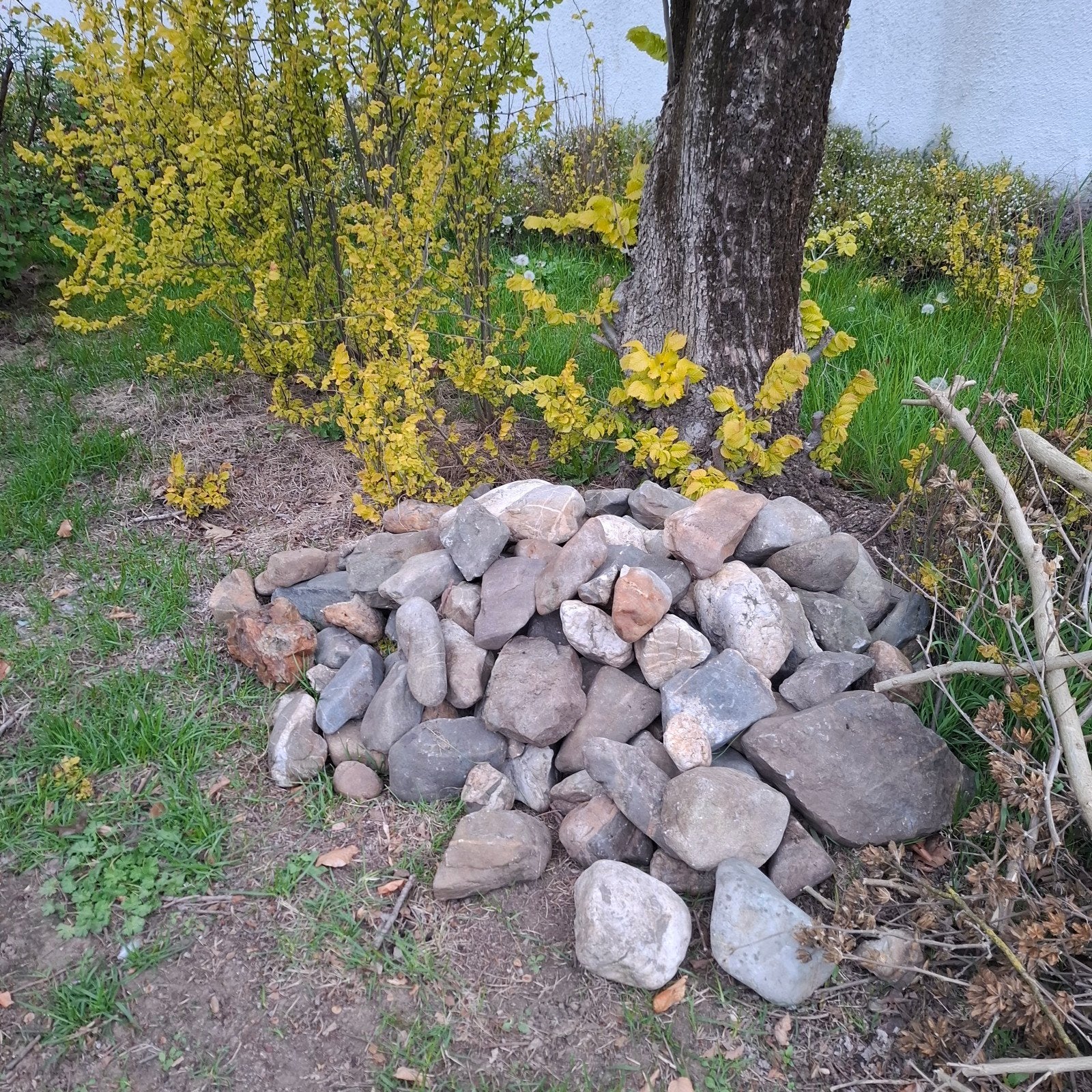 Maaskeien - Grote en Kleine Stenen voor Tuin en Decoratie, Overige materialen, Gebruikt, Ophalen of Verzenden, Kei