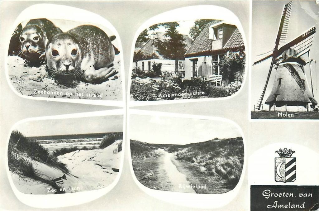 702-080-035 Ameland, Ophalen of Verzenden, Voor 1920, Friesland