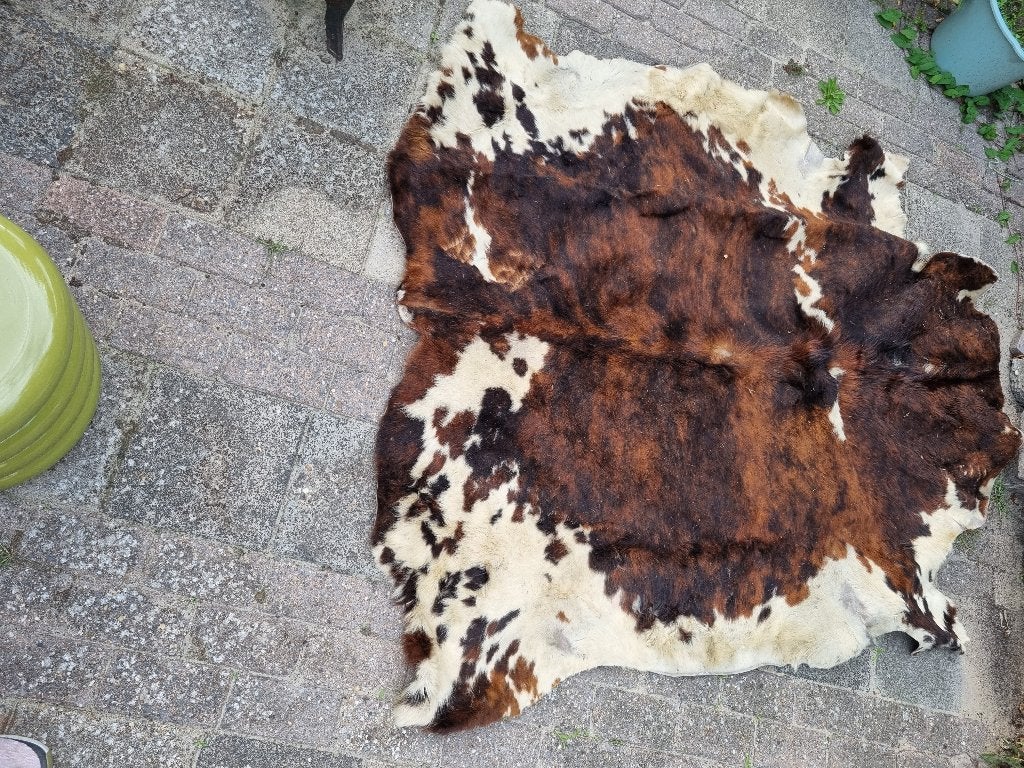 Koeienhuid koeienvel vintage, Huis en Inrichting, Ophalen, Gebruikt, 150 tot 200 cm, 200 cm of meer