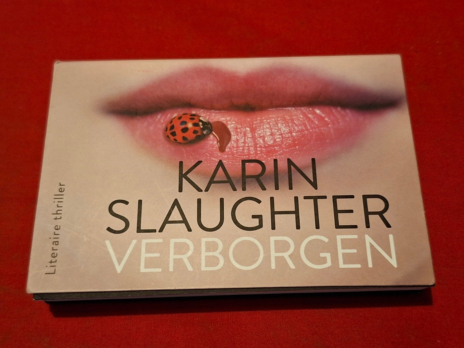 Dwarsligger 525 Karin Slaughter - Verborgen (Thriller), Ophalen of Verzenden, Zo goed als nieuw, Karin Slaughter