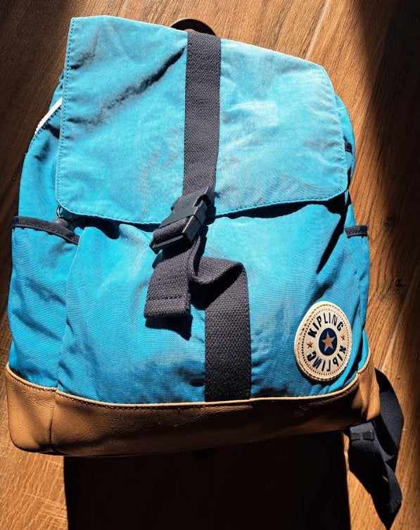 Kipling rugzak, Ophalen of Verzenden, Gebruikt, Kipling, 30 tot 45 cm