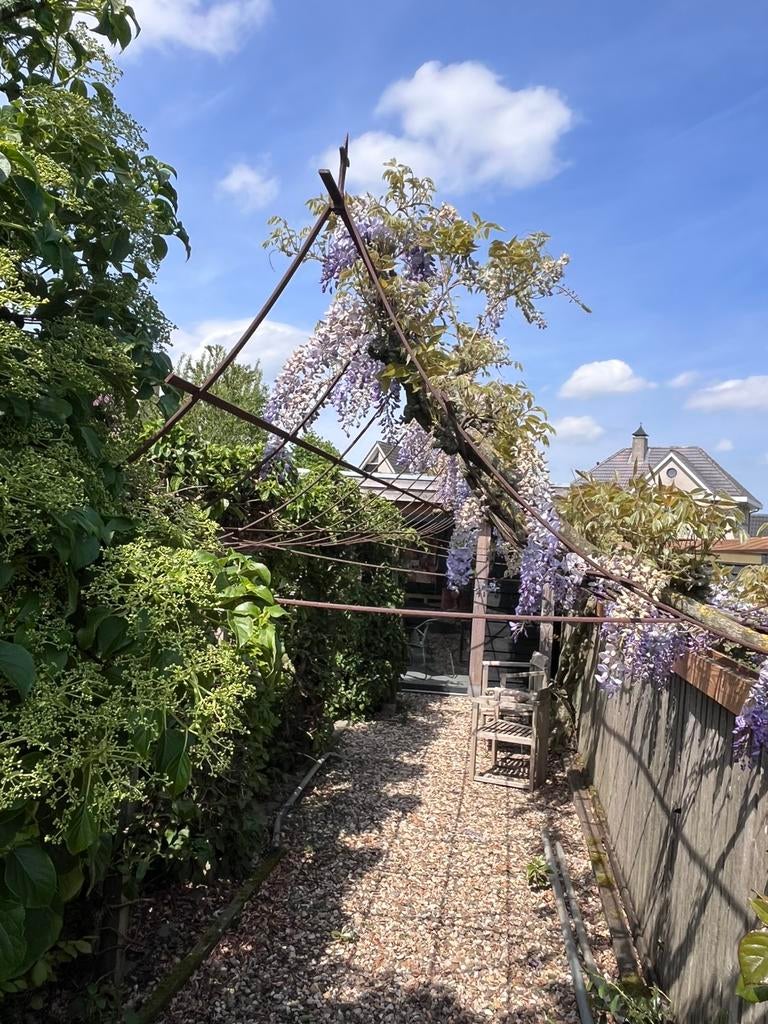 IJzeren smeedwerk pergola. 250 cm bij 300 cm., Ophalen, Gebruikt, Overige typen