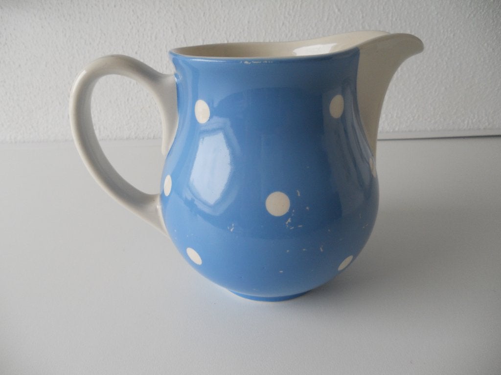 Regout blauwe stippenkan, Ophalen of Verzenden