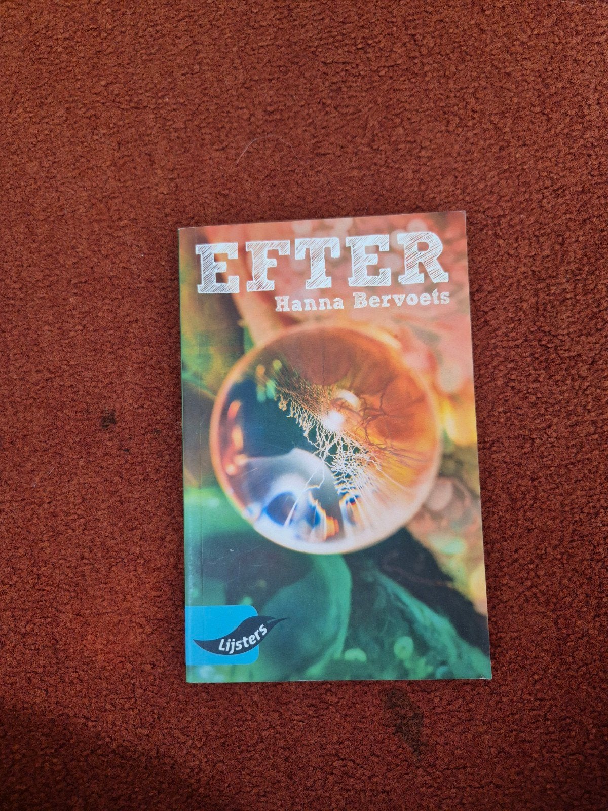 Boek: EEN LIJSTERS BOEK - EFTER door Hanna Bervoets, Verzenden, Gelezen, Hanna Bervoets, Nederland