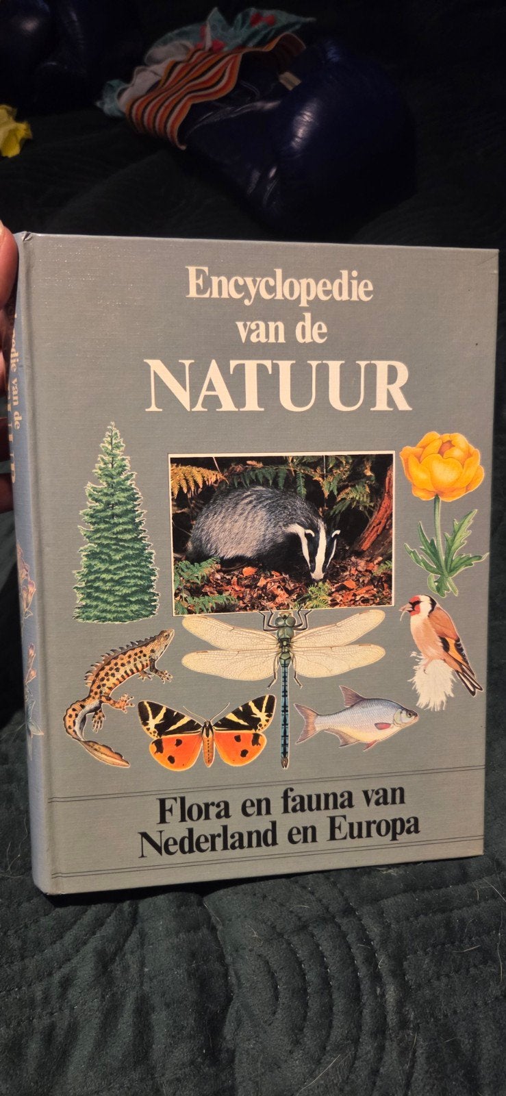 Encyclopedie van de Natuur - Flora en Fauna Nederland/Europa, Boeken, Ophalen of Verzenden, Gelezen, Natuur algemeen, Onbekend