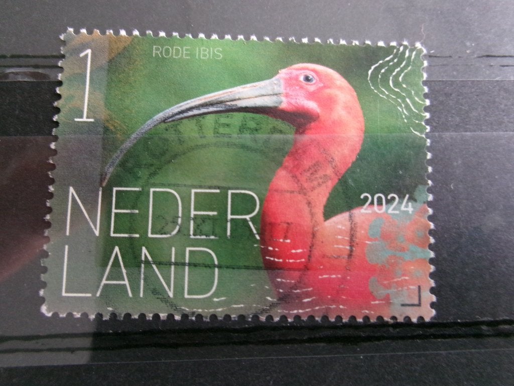 2024 - rode ibis (52e), Verzenden, Gestempeld