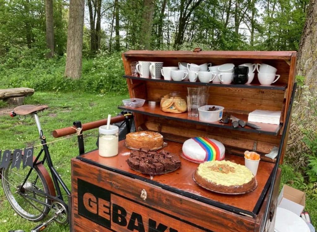 Bakfiets met Nexus 7 versnellingen en terugtraprem, Fietsen en Brommers, Terugtraprem, Gebruikt, Goederen, Ophalen