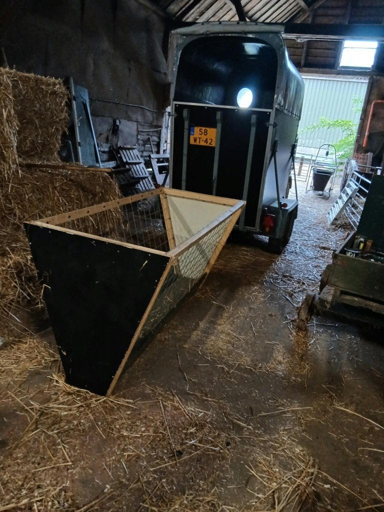 hooiruif, Dieren en Toebehoren, Meerdere dieren, Schaap, 3 tot 5 jaar