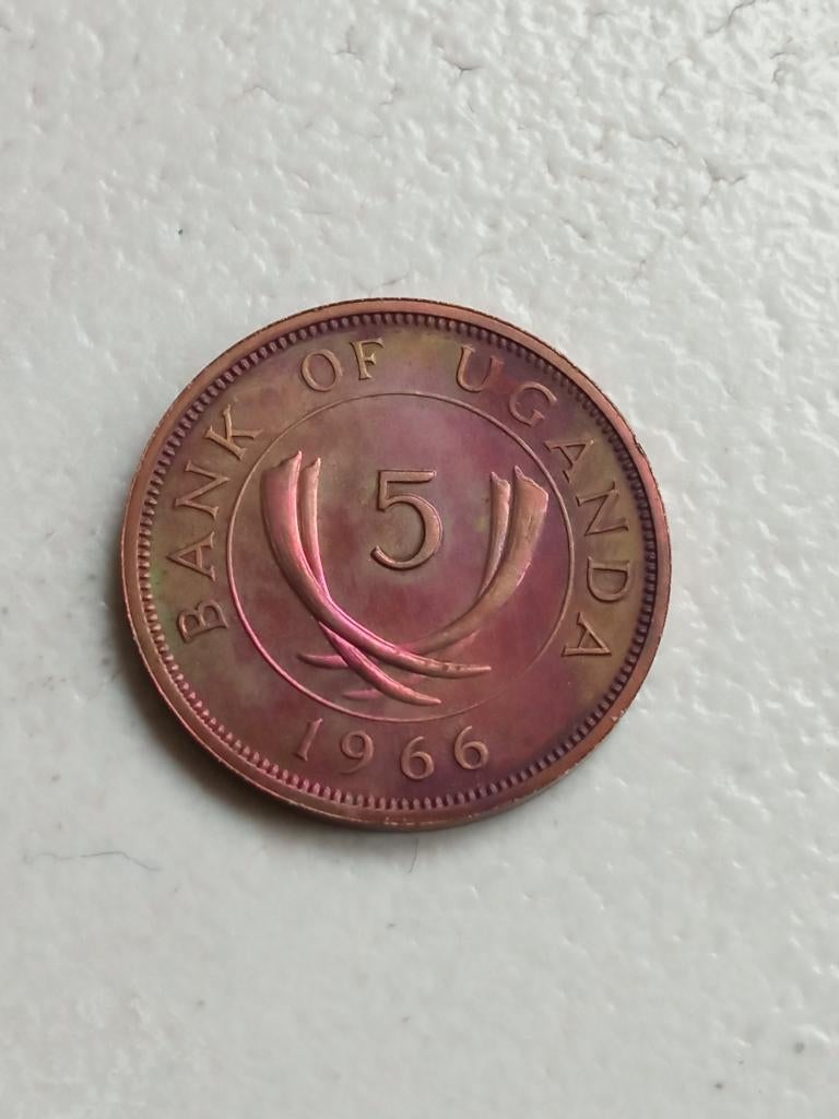 Oeganda 5 cent 1966., Ophalen of Verzenden, Overige landen, Losse munt