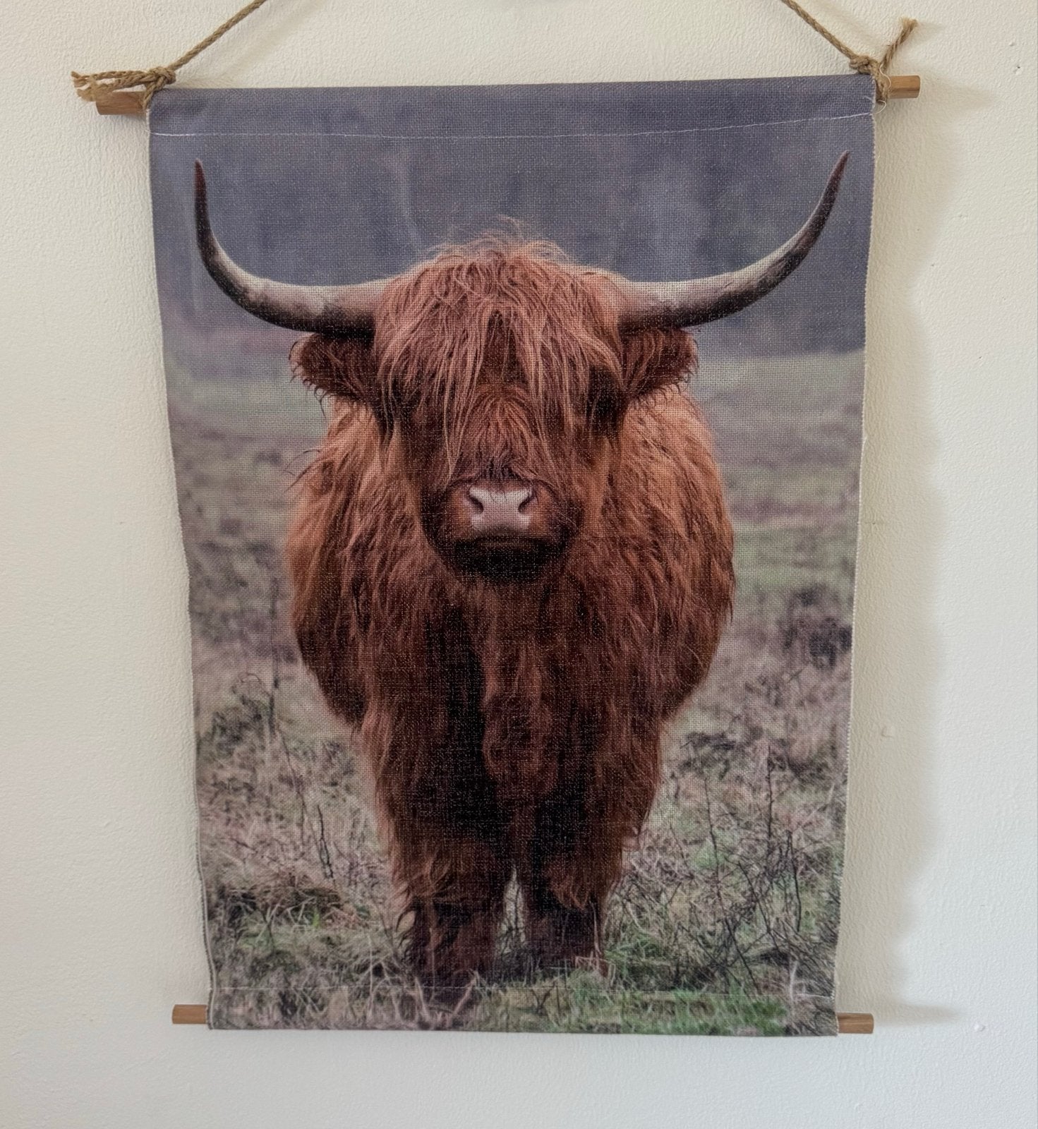 Wandkleed Schotse Hooglander met verlichting, Nieuw, Ophalen of Verzenden, Bruin, Wandkleed