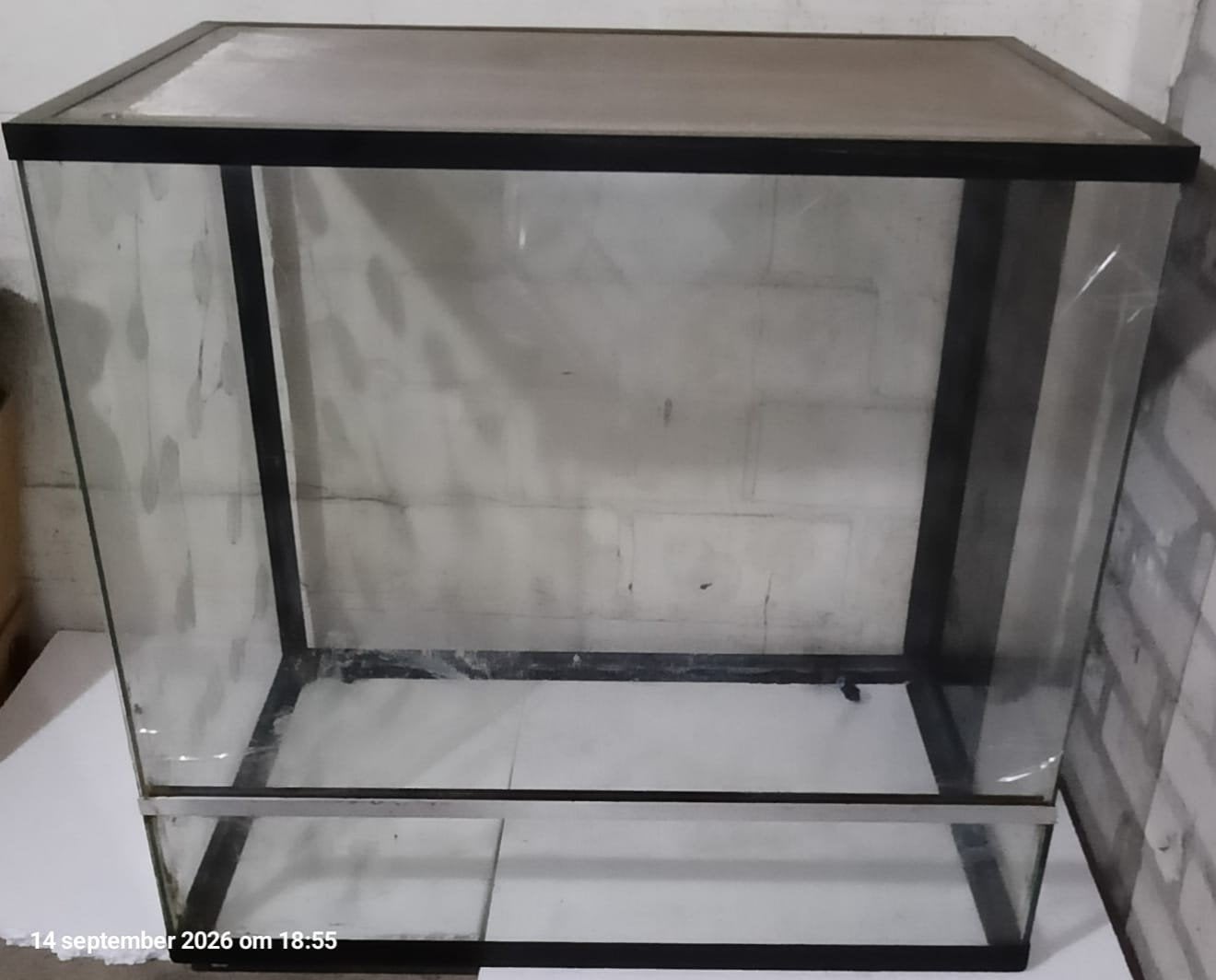 Terrarium, Ophalen, Gebruikt, Terrarium of Paludarium