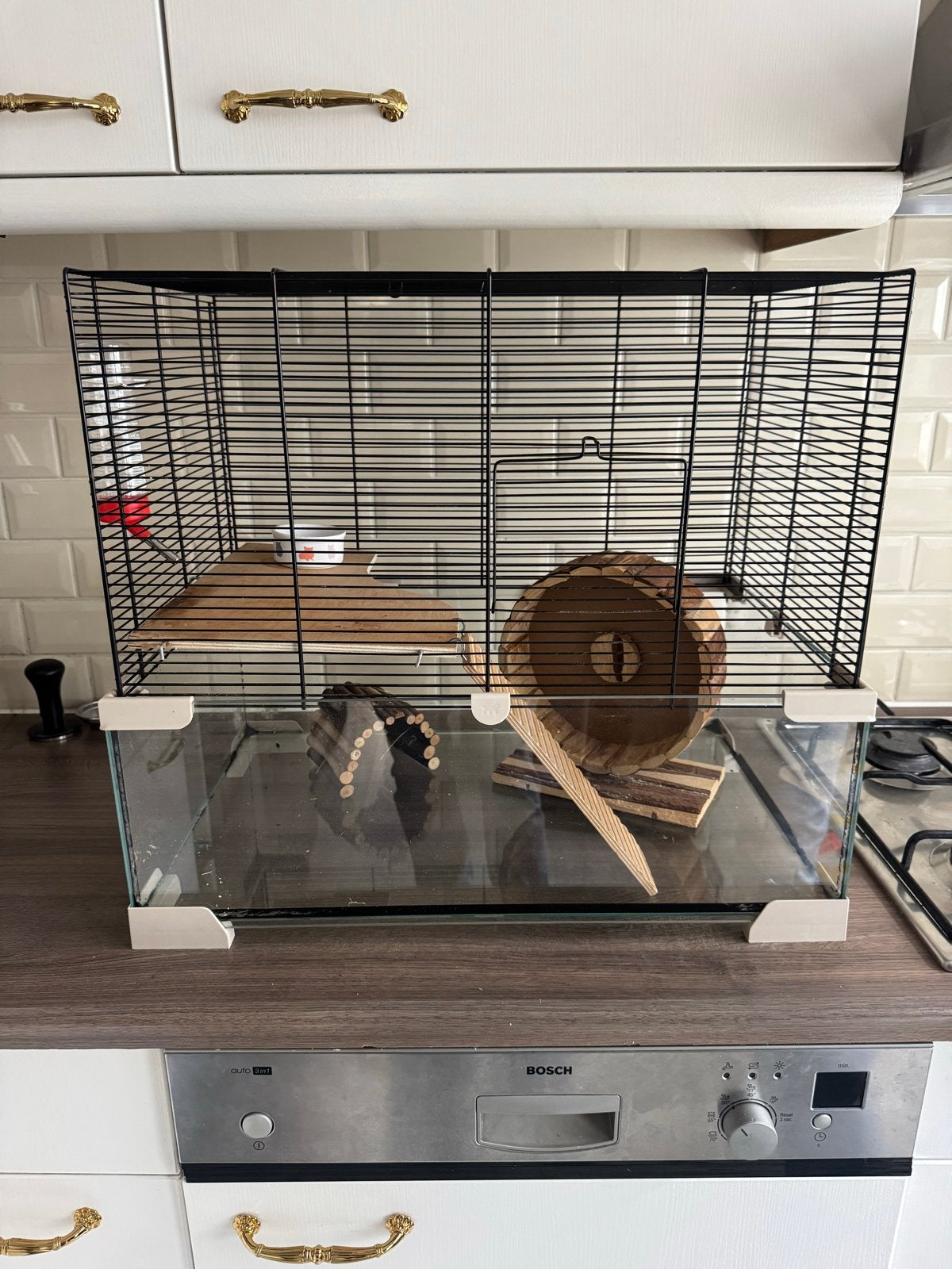 Leuke hamsterkooi met toebehoren | L58xB38xH52, Kooi, Gebruikt, Minder dan 75 cm, Hamster