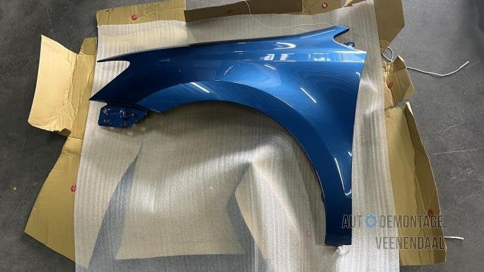 Scherm links-voor van een Volkswagen Polo (LD5L), -, Volkswagen, -, Nieuw