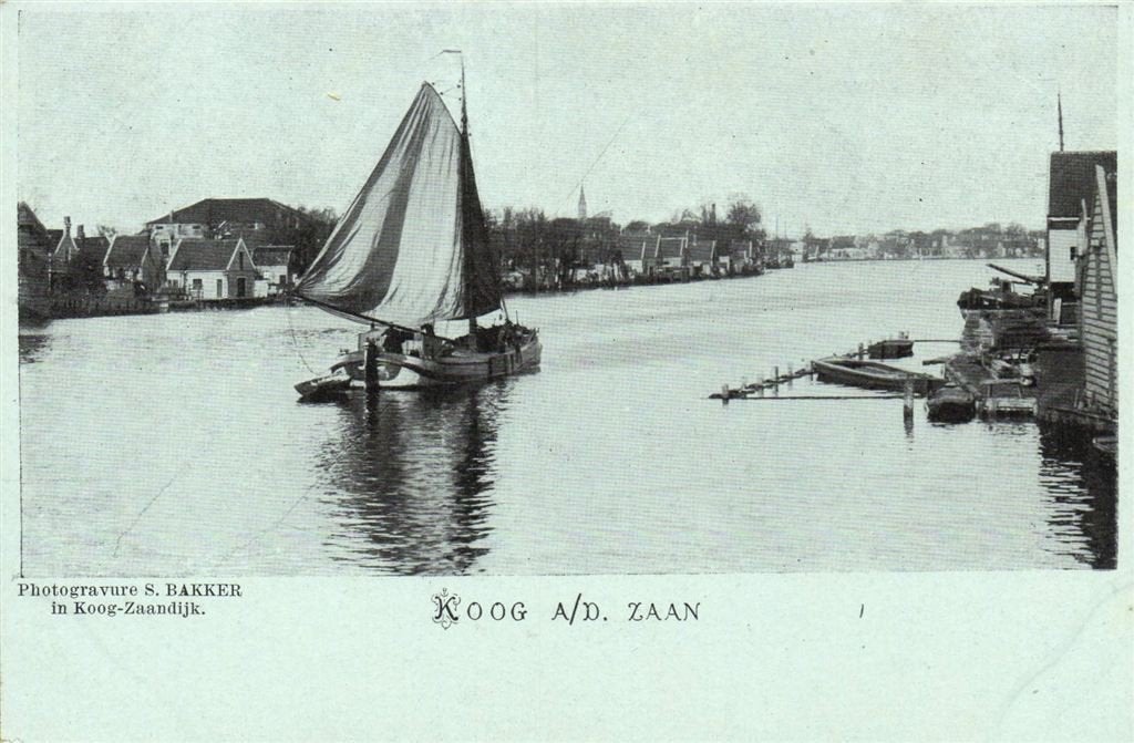 Koog a/d. Zaan - photogravure S. Bakker - ongelopen, Verzamelen, Ansichtkaarten | Nederland, Ongelopen, Noord-Holland, Voor 1920