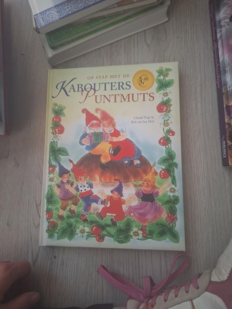 Op stap met de Kabouters Puntmuts / De avonturen van De, Ophalen of Verzenden, Gelezen, Christl Vogl & Rob van het Hof