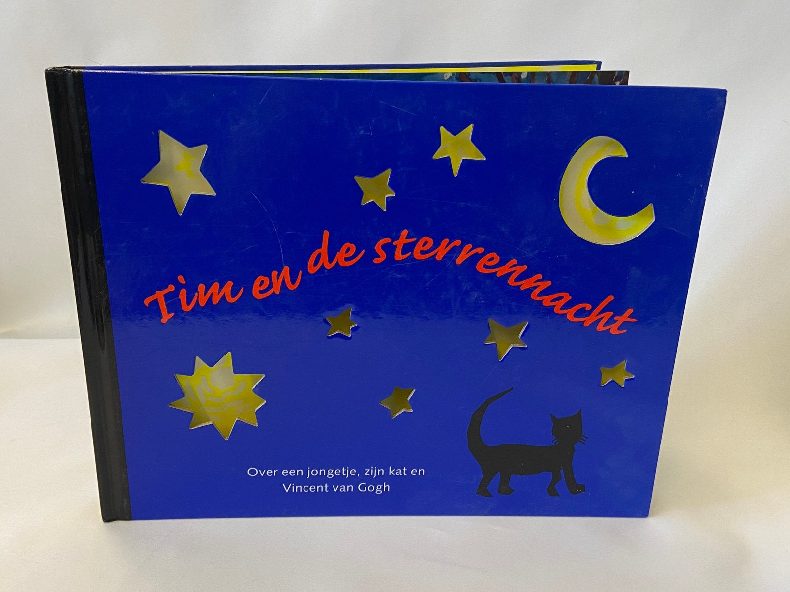 Vincent van Gogh museum kinderboek Tim en de Sterrennacht, Ophalen of Verzenden, Gelezen, Fictie algemeen