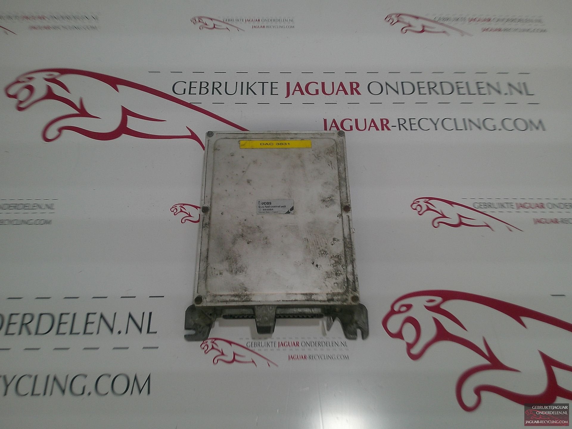 Motor ECU Jaguar XJS 3.6 DAC3831, Gebruikt, -, Ophalen of Verzenden, Jaguar