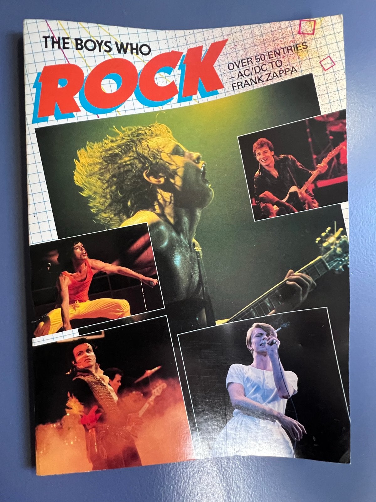 The Boys Who Rock - Muziekboek uit 1982 in zeer goede staat, Boeken, Ophalen of Verzenden, Zo goed als nieuw, Artiest