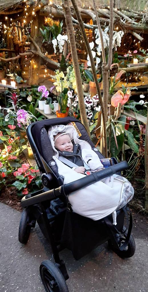 Maxi Cosi Pebble met Isofix - Zo goed als nieuw, Zo goed als nieuw, Isofix, 0 t/m 13 kg, Maxi-Cosi