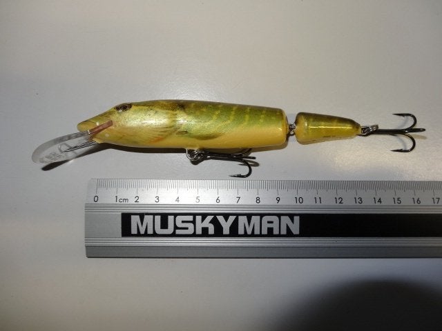 Kunstaas: Salmo Pike 13 Jointed Floating Deep Runner, Verzenden, Gebruikt, Overige typen