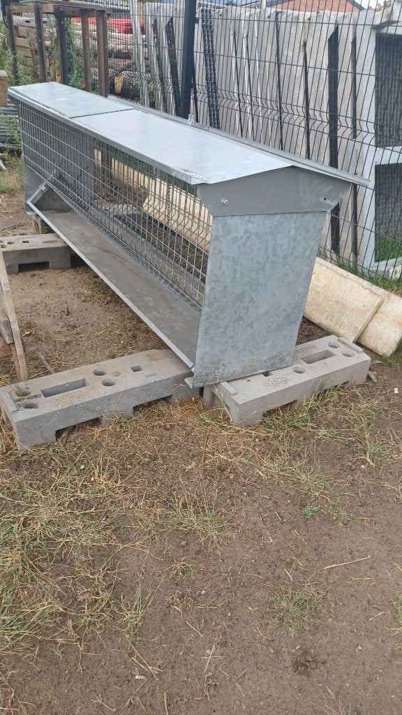 voederbak, Meerdere dieren, Schaap