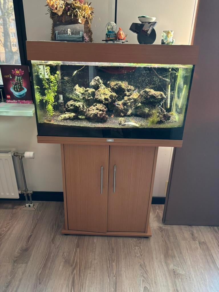 Juwel 120 liter incl vissen en veel toebehoren, Ophalen, Gebruikt, Gevuld zoetwateraquarium