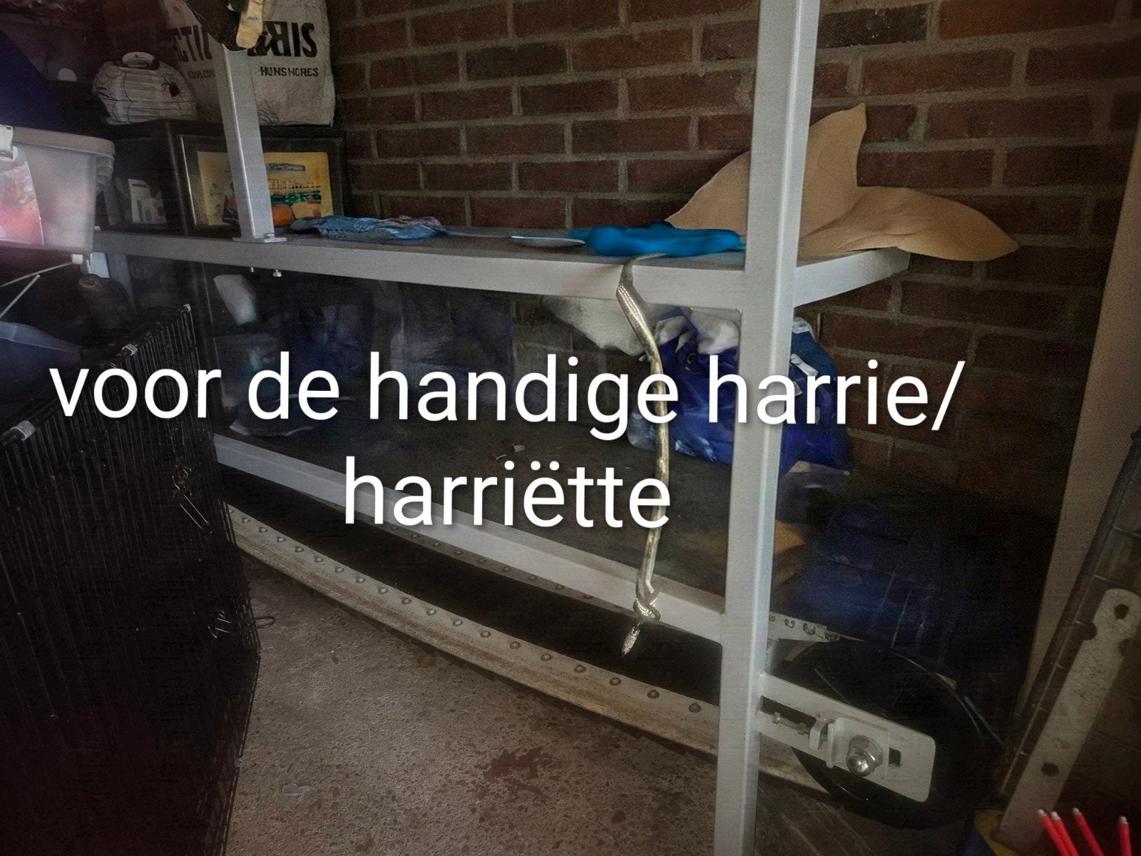 honden loopband voor de handige klusser, Ophalen, Gebruikt
