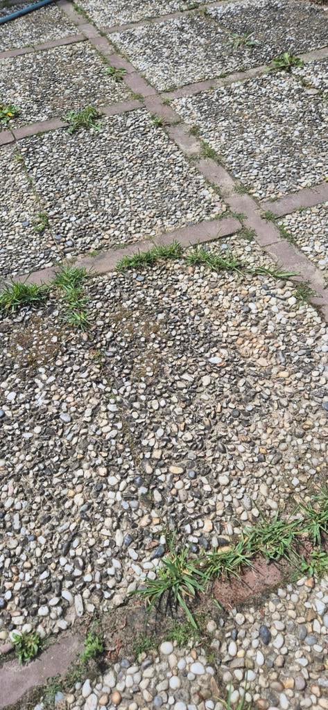 Gratis Tuinbestrating: Gebruikte Terrastegels, Tuin en Terras, Tegels en Klinkers, Gebruikt, Ophalen of Verzenden, 10 m² of meer