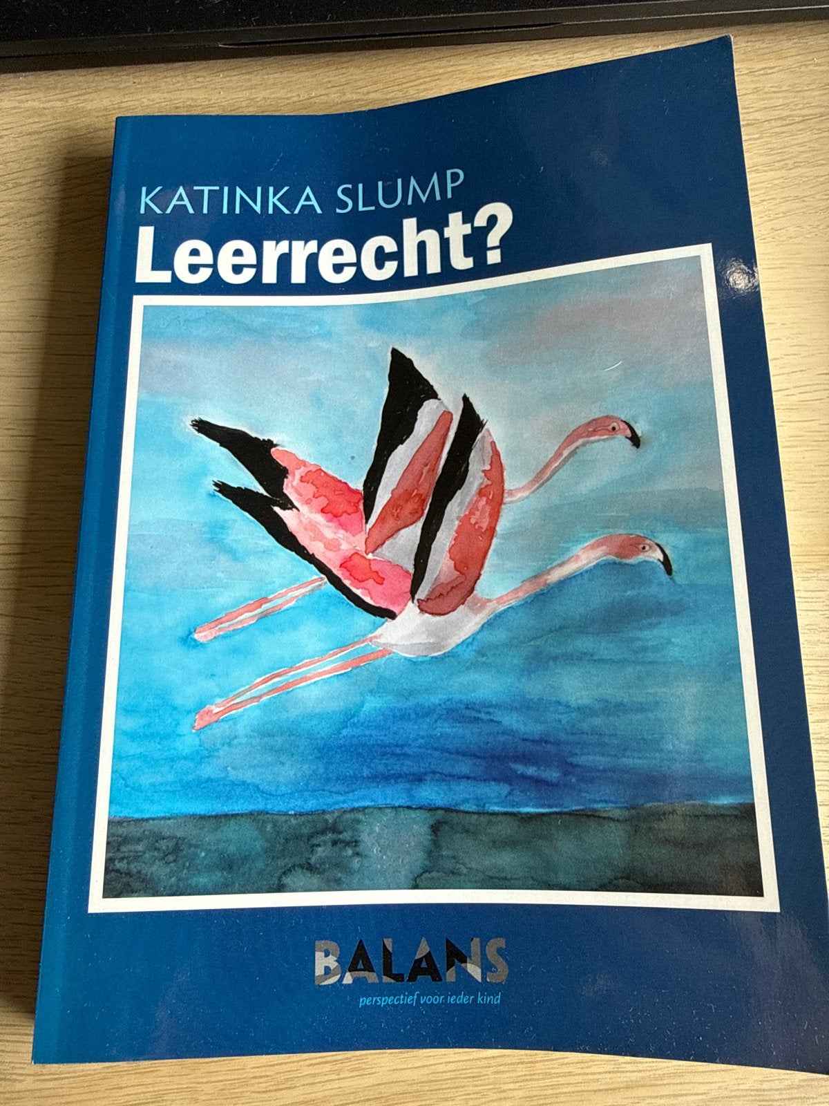 Katinka Slump - Leerrecht?, Ophalen of Verzenden, Gamma, Gelezen, Overige niveaus