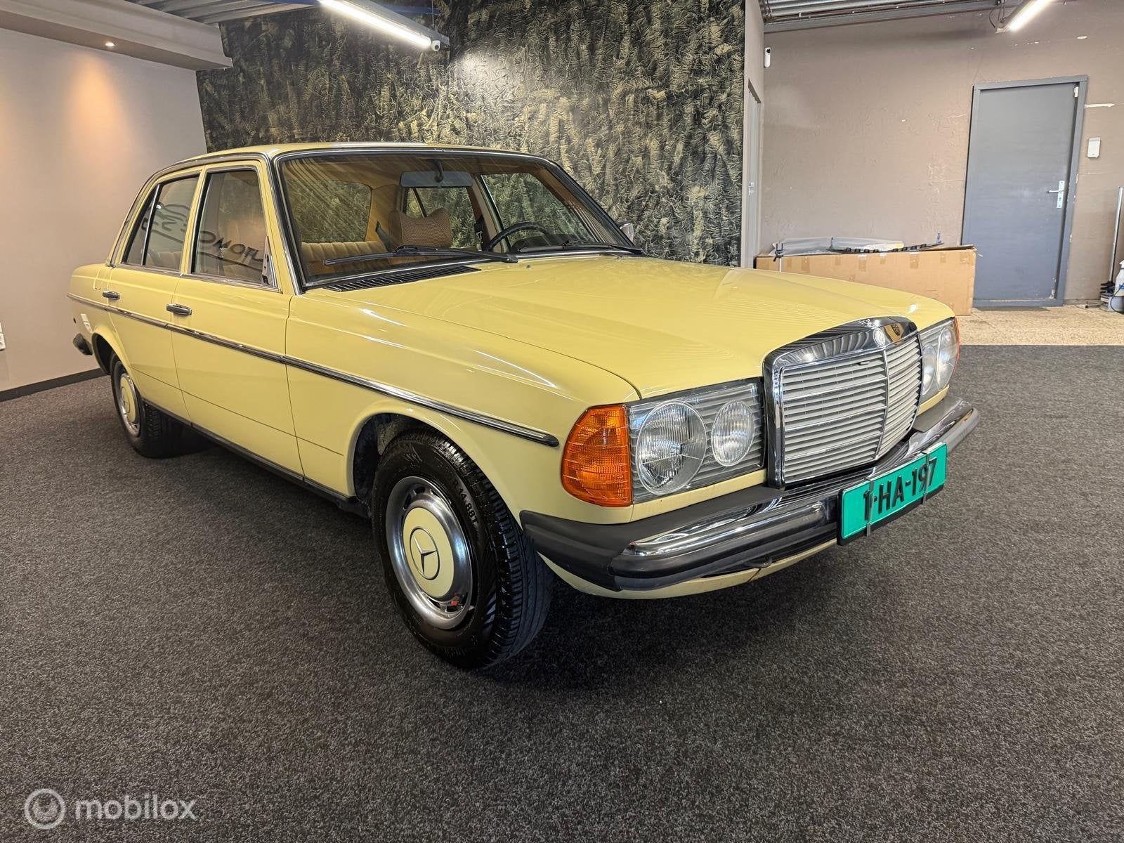 Mercedes Mercedes 250 Oldtimer W123 E/S 250, foto 6
