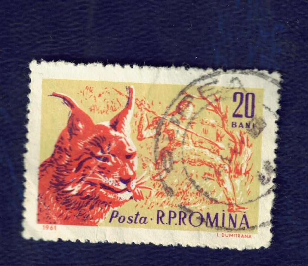 Katachtigen - Roemenia - Lynx - 20 Bani - gebr, Postzegels en Munten, Ophalen of Verzenden, Gestempeld, Dier of Natuur