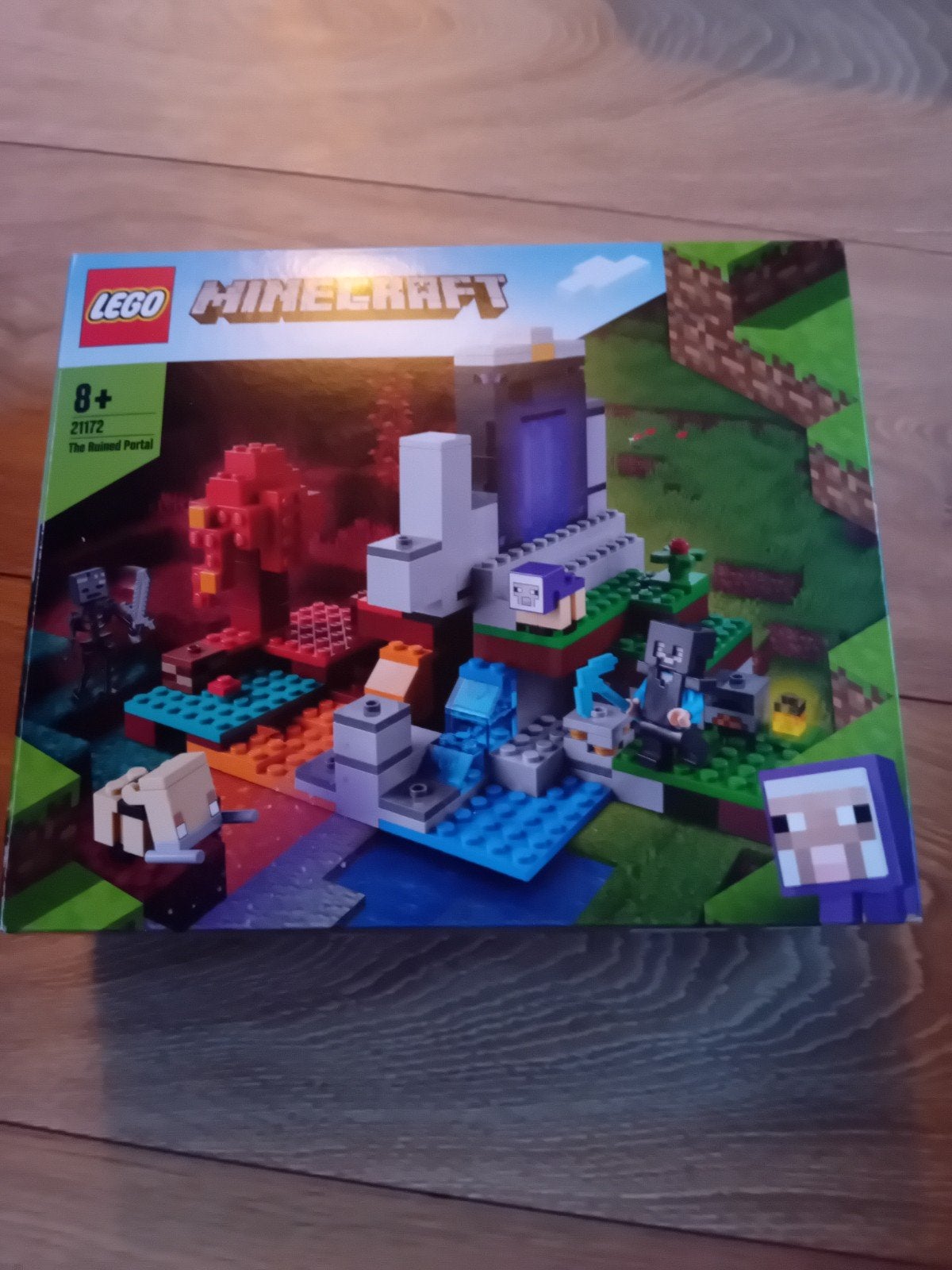 LEGO Minecraft 21172 Het Verwoeste Portaal, Kinderen en Baby's, Speelgoed | Duplo en Lego, Gebruikt, Minecraft, Lego, Ophalen of Verzenden