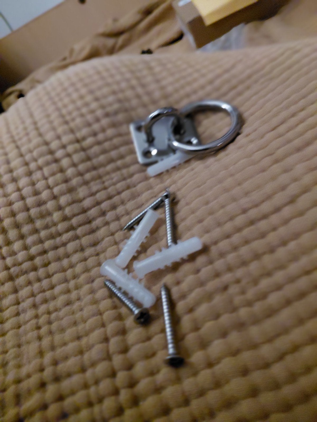 RVS Oogplaat met ring, pluggen en schroeven, Overige typen, Nieuw, Ophalen of Verzenden, Minder dan 50 mm
