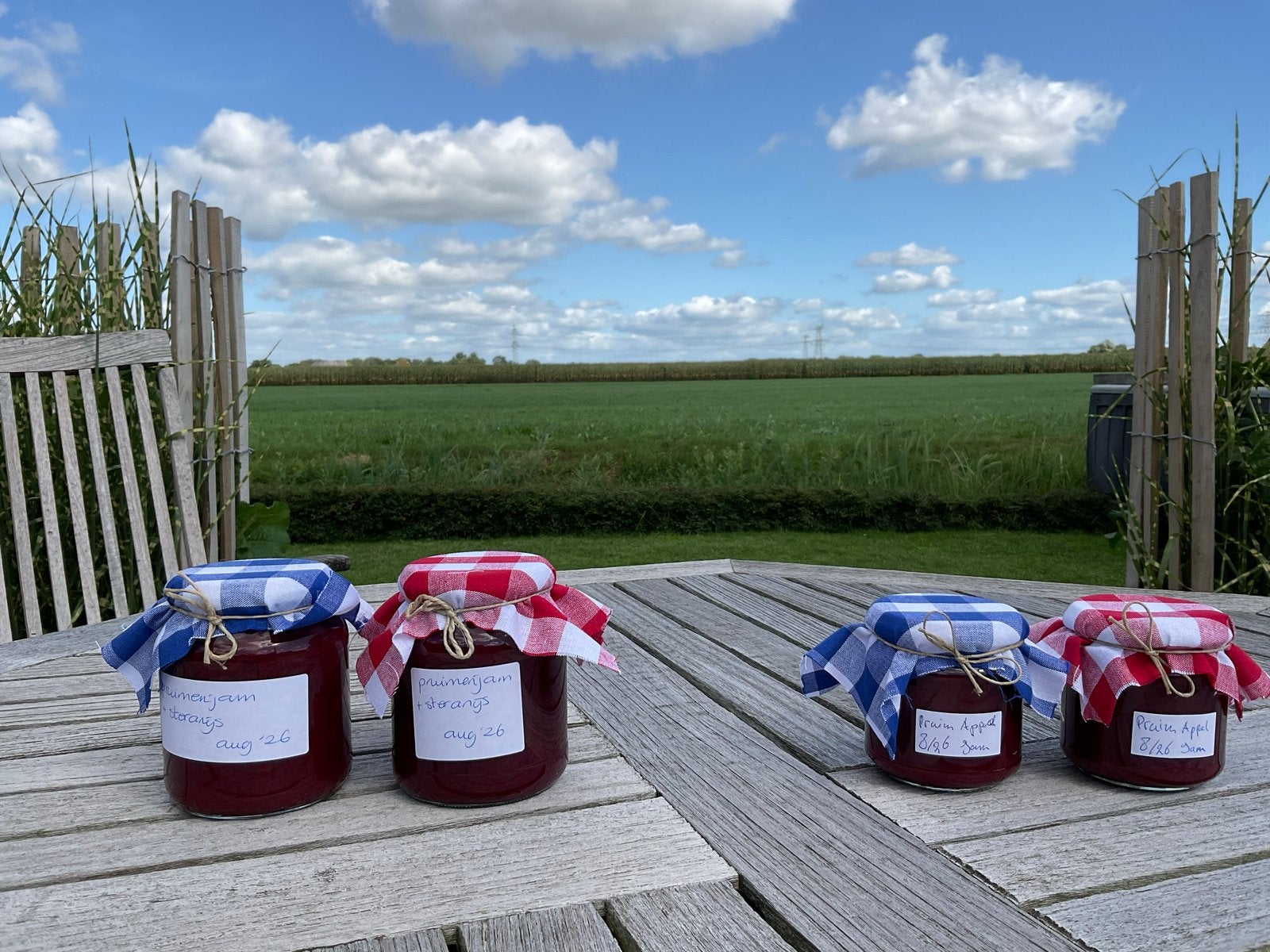 Heerlijke Biologische huisgemaakte Pruimen /Appel Jam, Ophalen, Glas, Nieuw, Voorraadpot