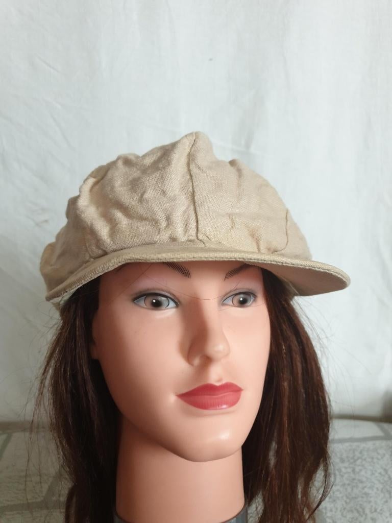 Grappige grote pet. maat M, Kleding | Dames, Maat 38/40 (M), Carnaval, ., Ophalen of Verzenden