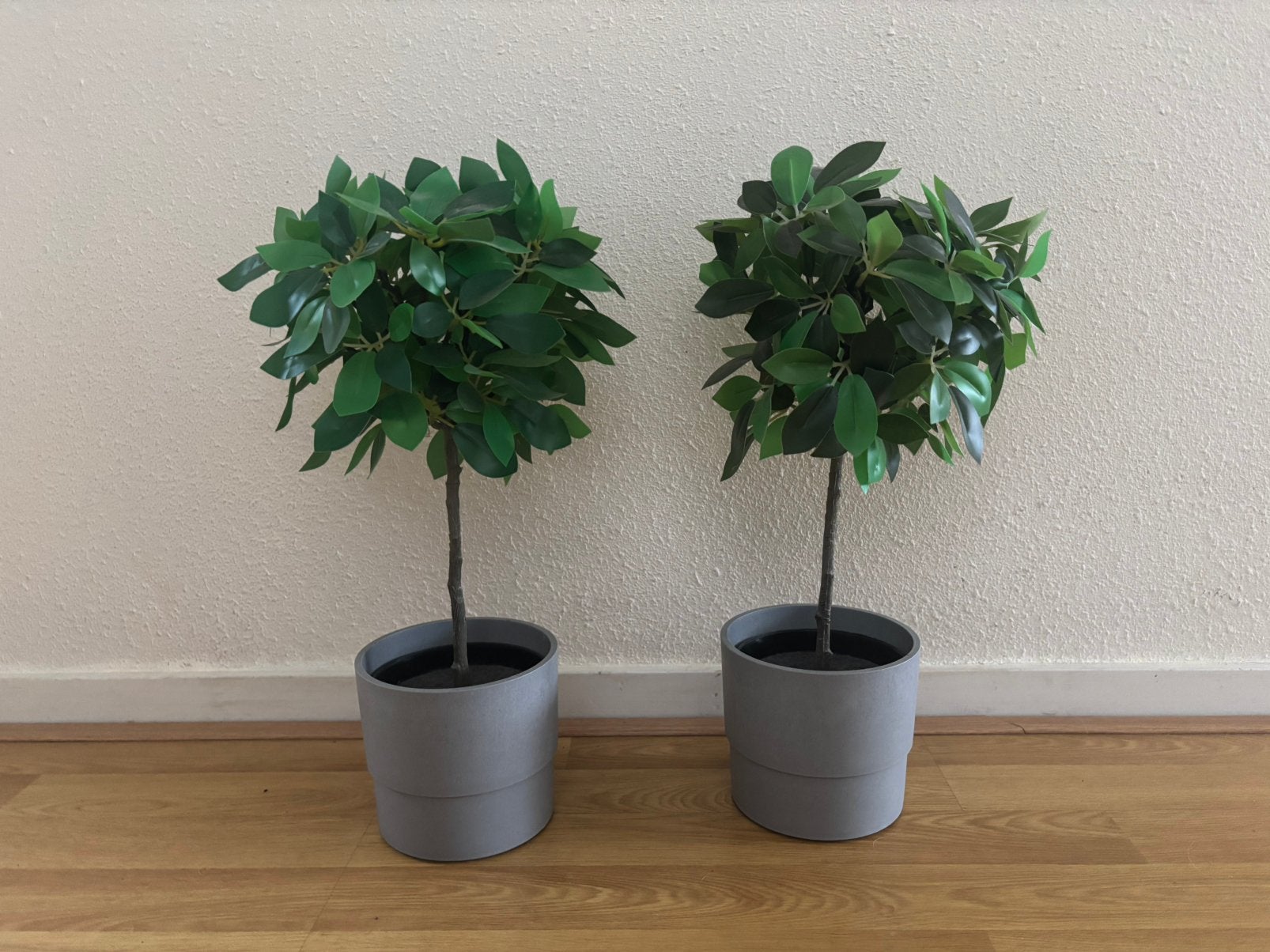 Nepplanten, Huis en Inrichting, Woonaccessoires | Kunstplanten en Kunstbloemen, Ophalen, Zo goed als nieuw