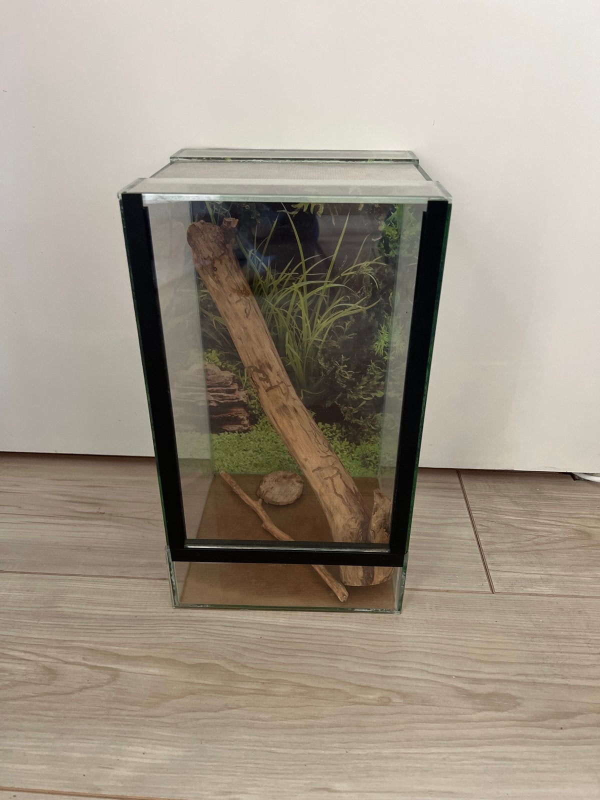 Terrarium, Dieren en Toebehoren, Reptielen en Amfibieën | Toebehoren, Ophalen, Gebruikt, Terrarium of Paludarium
