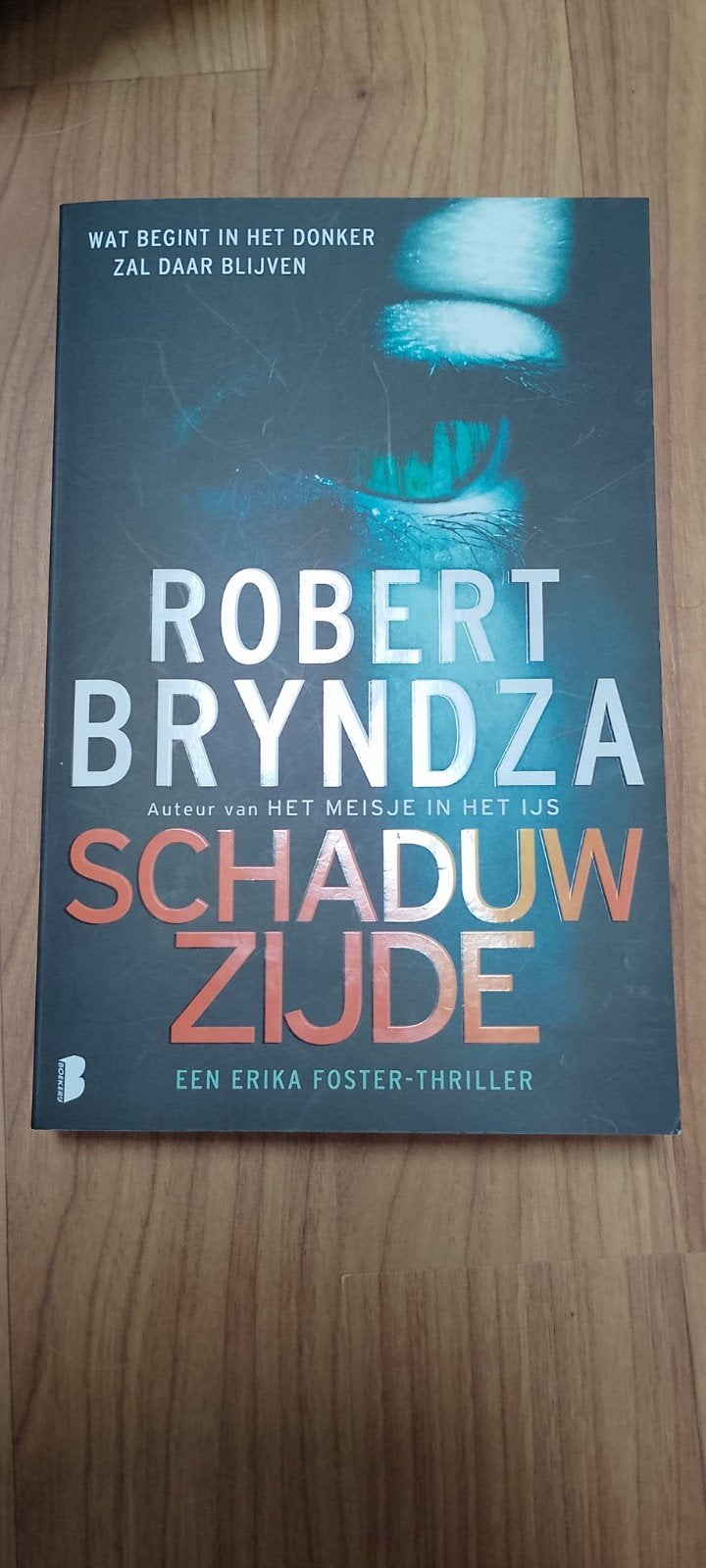 Robert Bryndza - Schaduwzijde, Ophalen of Verzenden, Zo goed als nieuw, Robert Bryndza