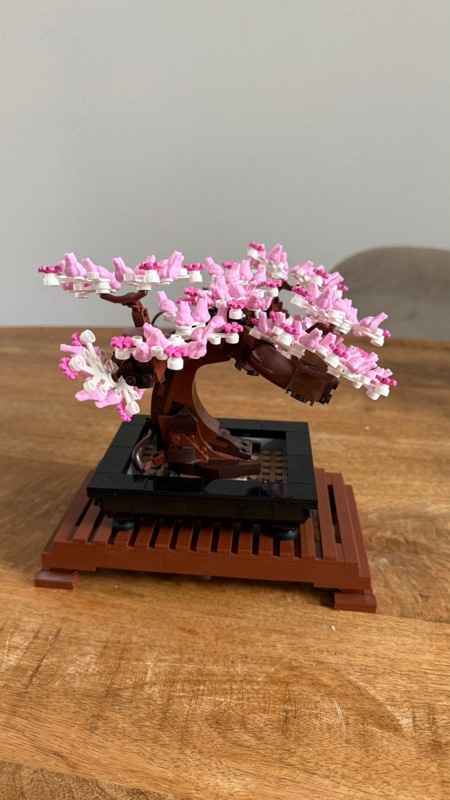 LEGO Botanical Bonsai Tree, Ophalen, Zo goed als nieuw