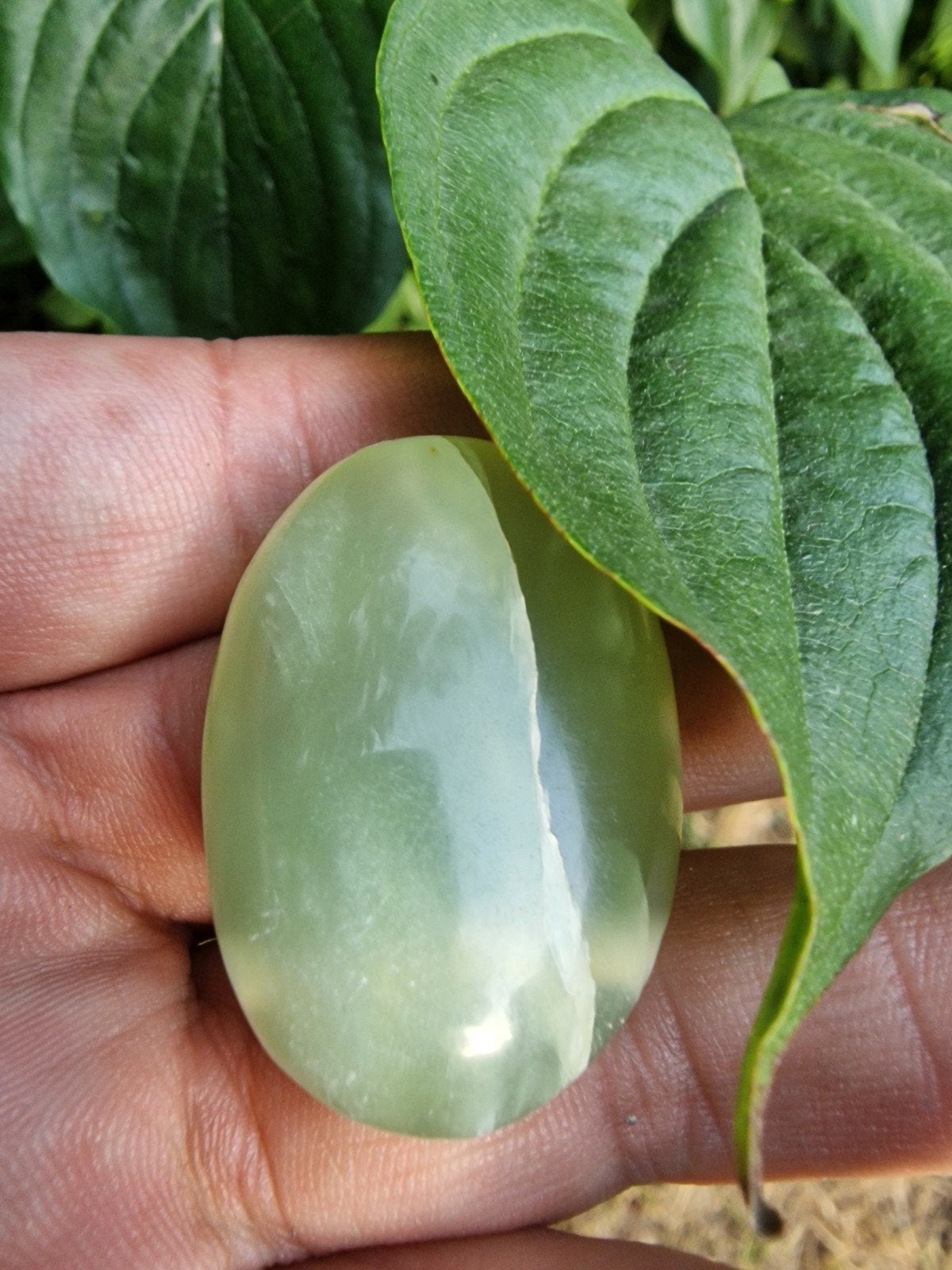 N779 Jade Boorgat Hanger - 21 gram, 37x26x15mm, Csj, Nieuw, Ophalen of Verzenden, 2263cc