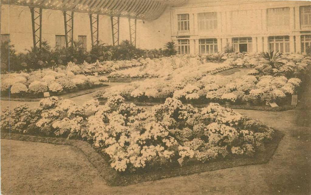 381-232-043 Bloemen, Verzenden, Voor 1920