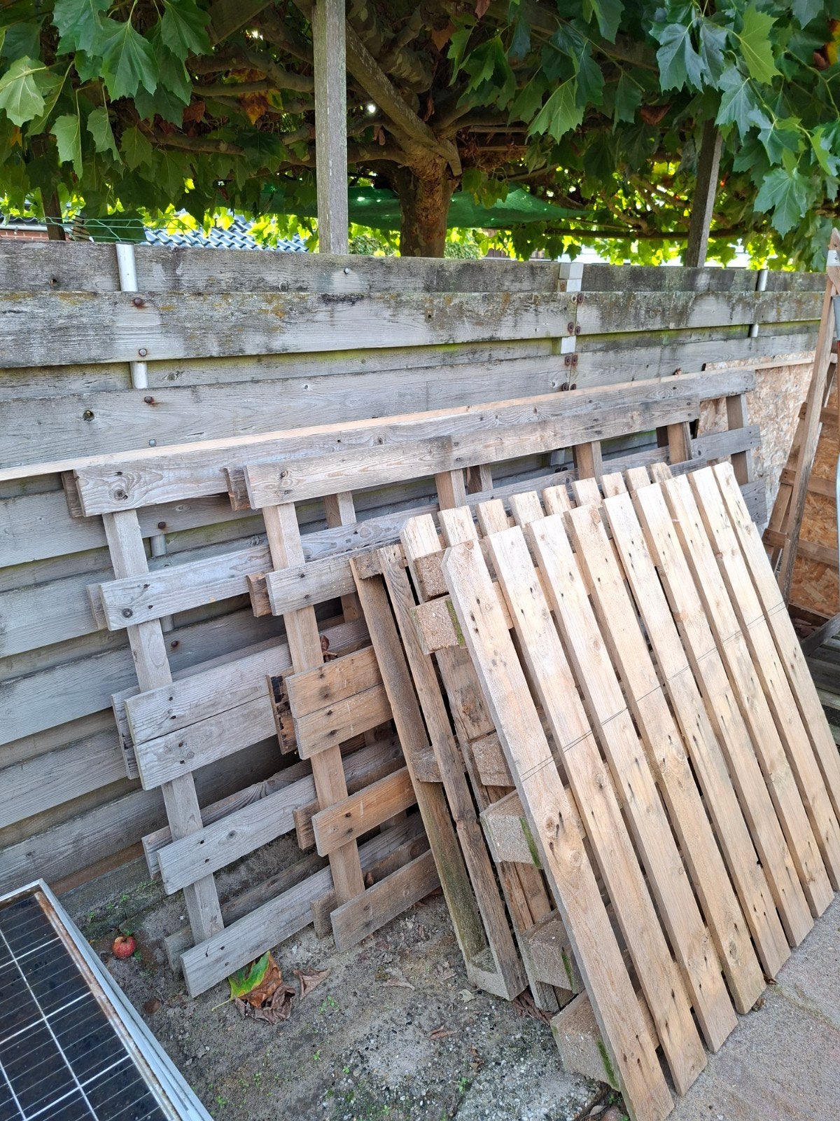 Gratis af te halen: Europallets en diverse andere pallets, Ophalen, Gebruikt, Pallet