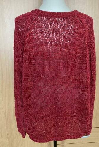 Didi trui maat 50, Ophalen of Verzenden, Zo goed als nieuw, Maat 46/48 (XL) of groter, Roze