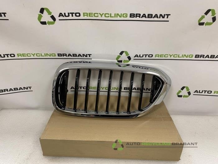 Grille van een BMW 5-Serie, Gebruikt, -, -, Ophalen of Verzenden